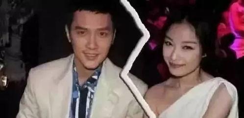 娱乐圈爆料冯少峰,揭秘背后真相与争议