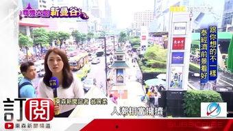 东森卫视在线观看,畅享精彩节目，随时随地掌握资讯动态